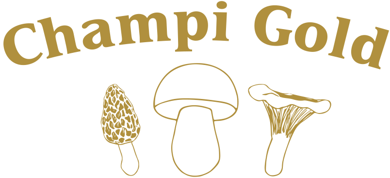 champi gold